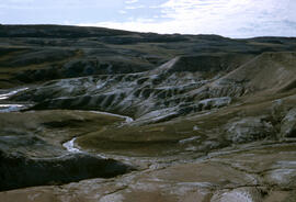 A stream running through sandy material on the north west coast of Melville Peninsula into the Gu...