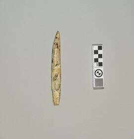 Walrus Tusk Spear Head 01
