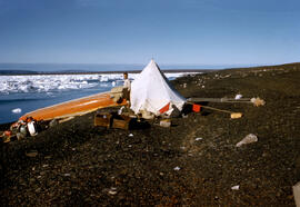 Pitched tent with Kolouk standing. Quilliam Bay in background.