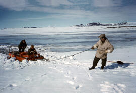 Trying to pull the stuck machine up a slight bank. St Onge and Moskal with another scientist, pul...